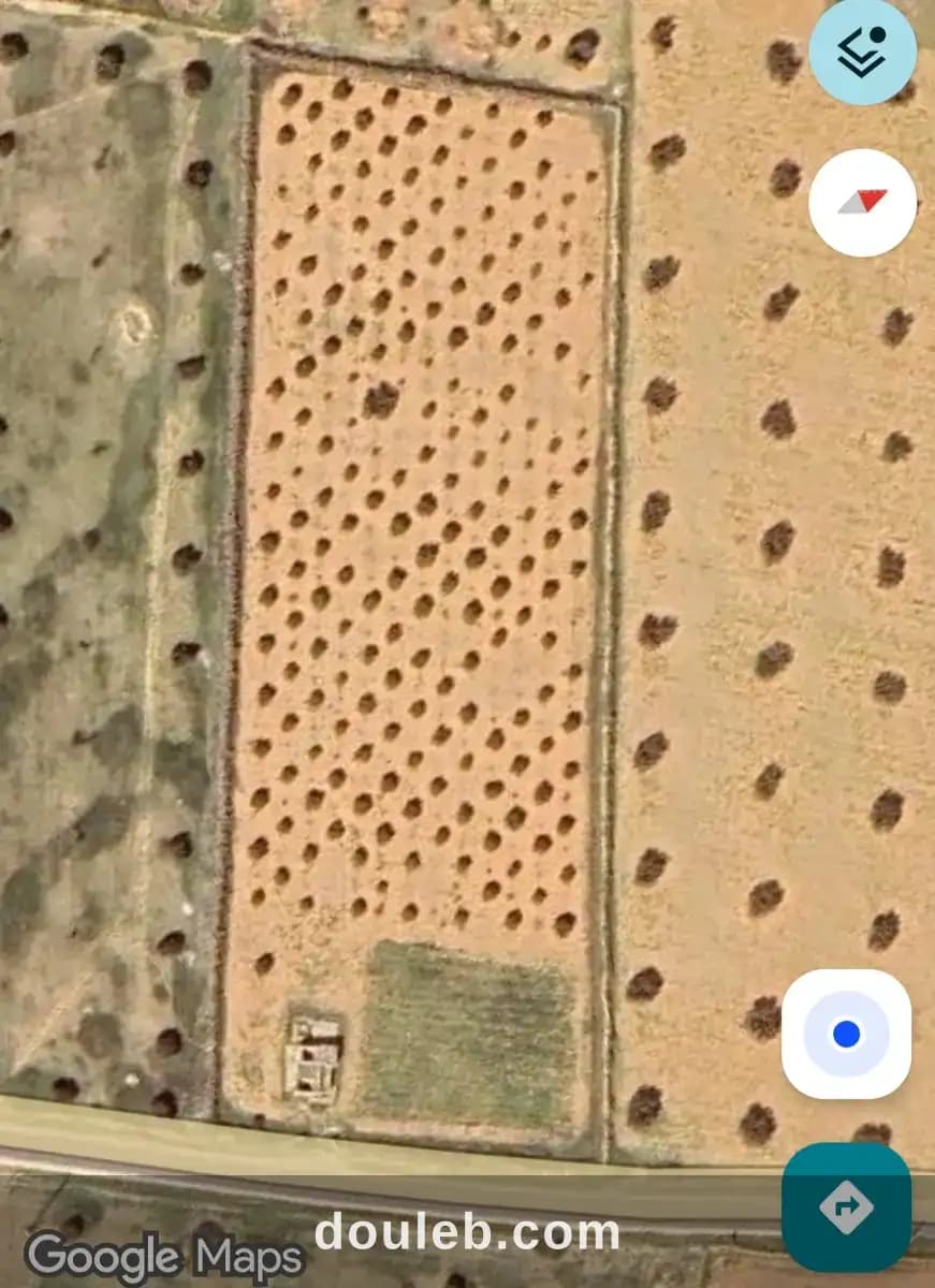 1 er position sur la route à Sfax