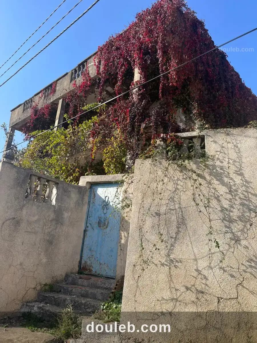 Vieille maison à ain draham à Jendouba