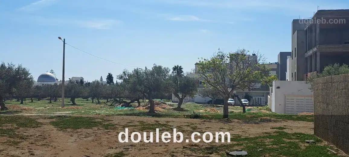 Un lot de terrain rectangulaire a mrezga hammamet à Nabeul