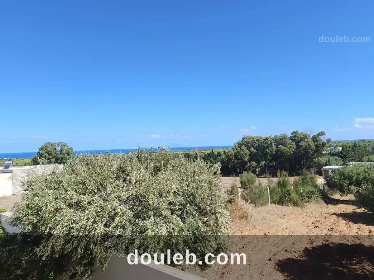 Villa el haouaria - Miniature 3