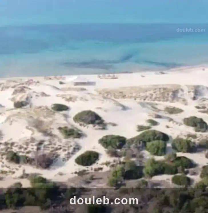 Terrain bizerte à 250m de la plage à Bizerte