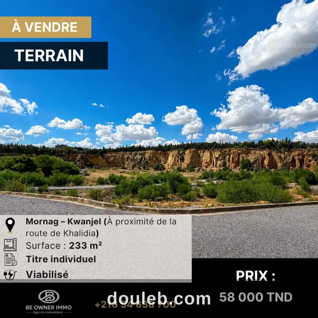 Av terrain de 233 m2 a mornag à Ben Arous
