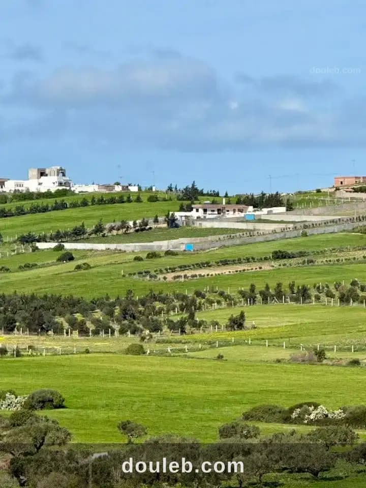 Senia a tamezrat hammem el ghzez à Nabeul