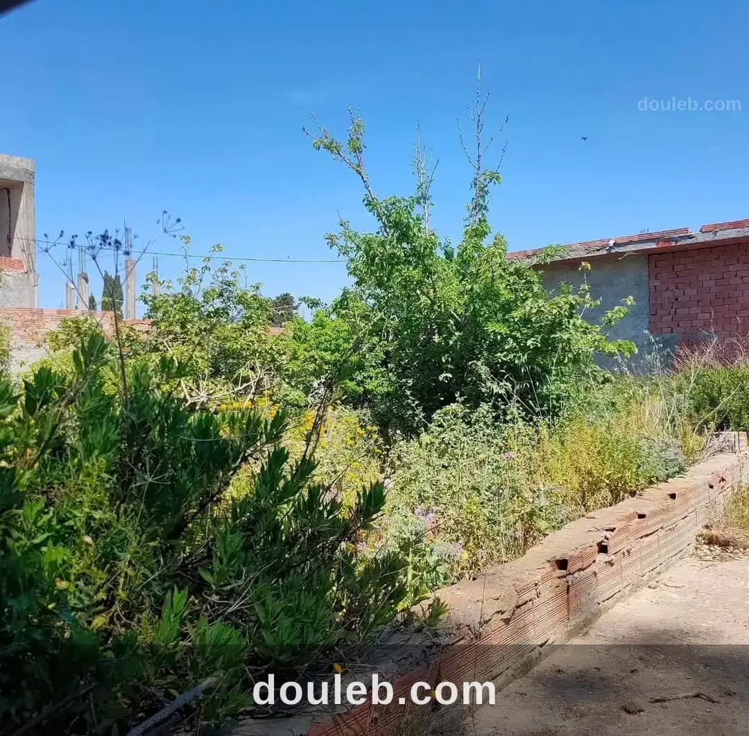 Belle opportunité à Bizerte