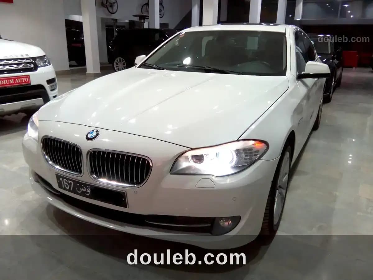 Bmw f10 520i - Miniature 2