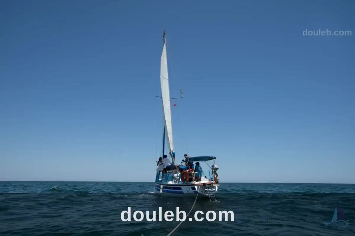 Bateau voilier 9metre70 avec congé commercial - Miniature 5