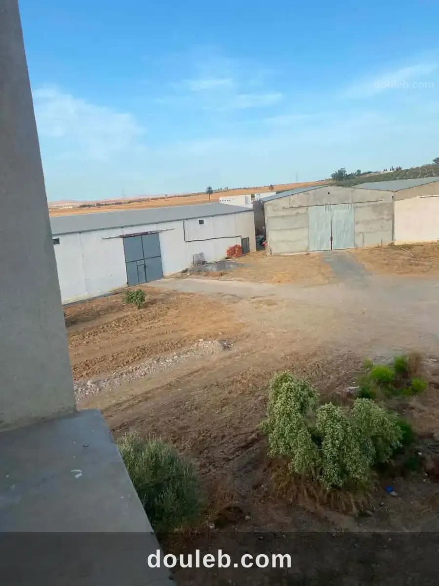 Terrain agricole le mateur à Bizerte