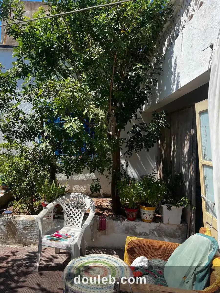 Maison arabe a kelibia - Miniature 3