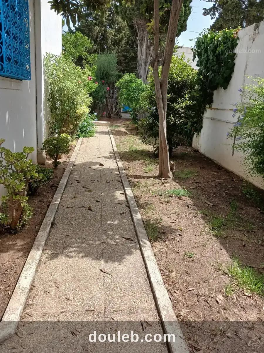 Maison à marsa cube meublée à Tunis