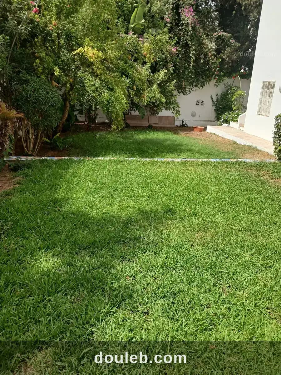 Une villa de charme à gammarth supérieur à Tunis