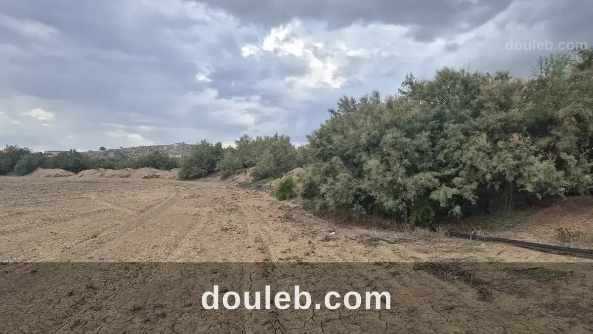 Terrain agricole medjez el bab à Béja