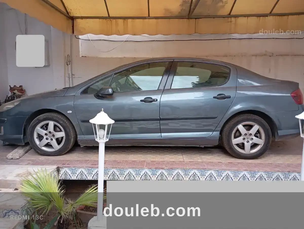 Peugeot 407 - Miniature 2