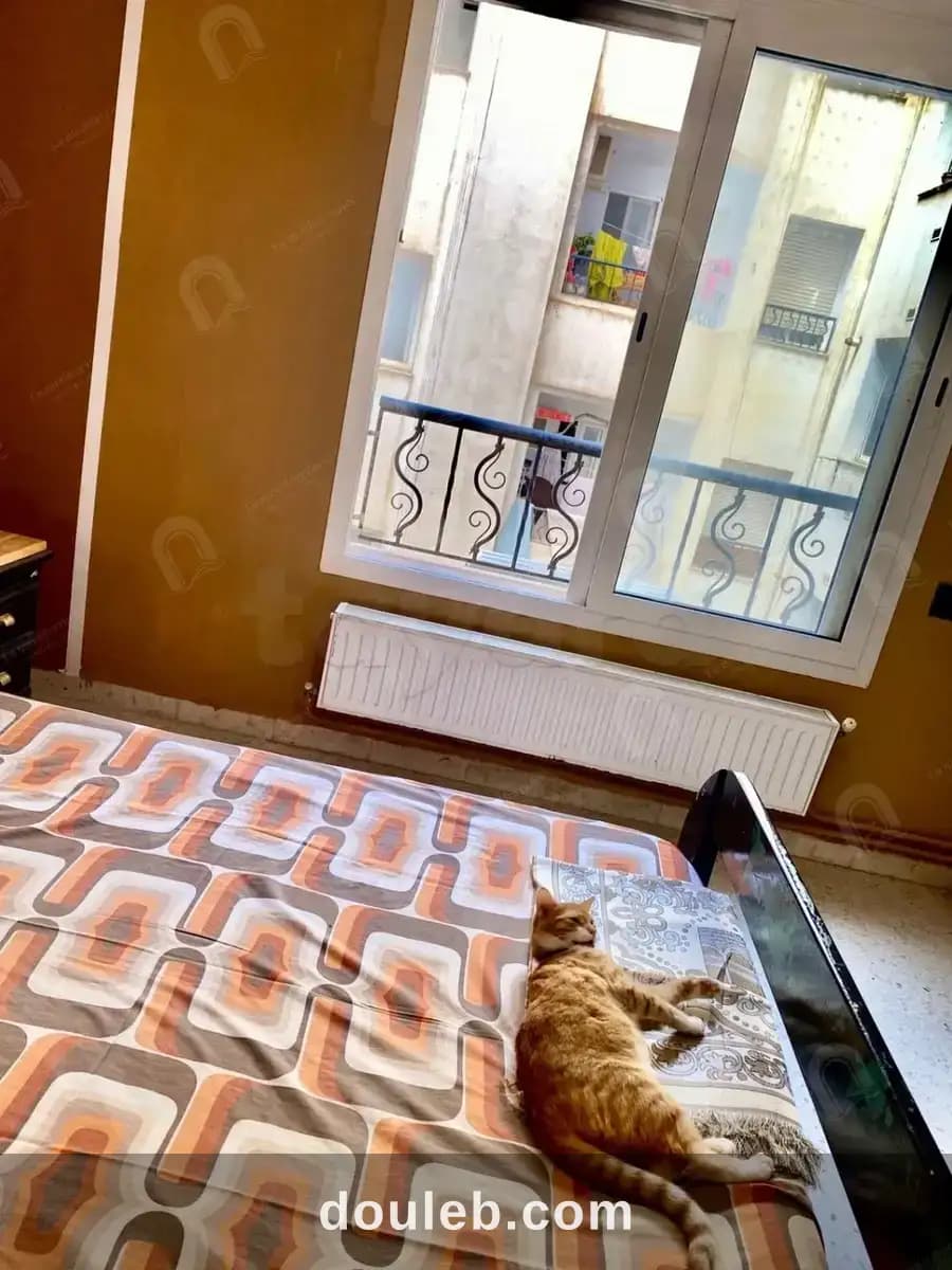 Un appartement s1 meublé - Miniature 3