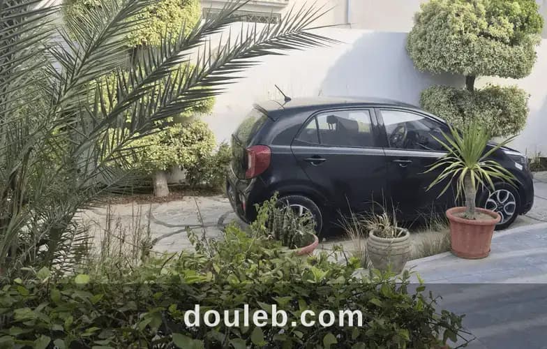 Kia picanto noir - Miniature 2