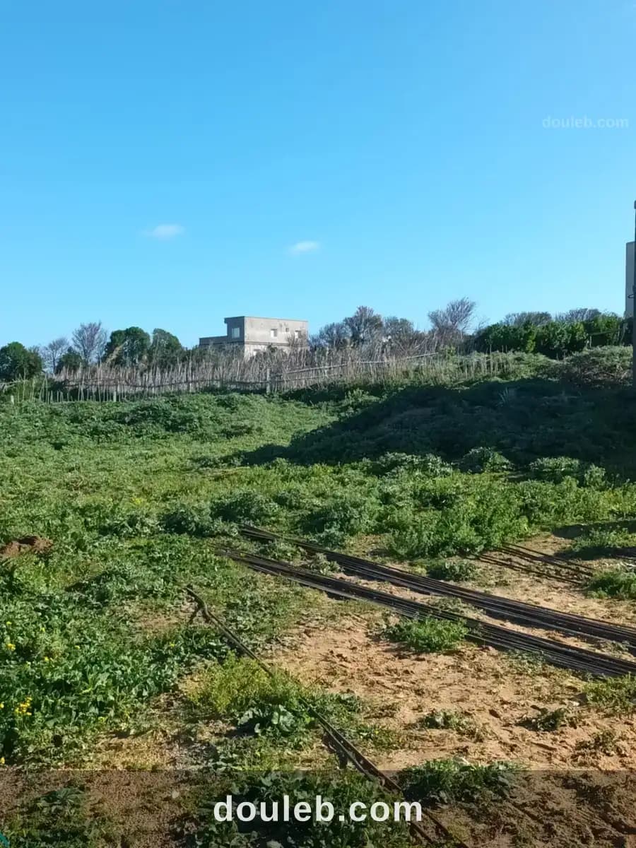 Un terrain vue sur mer situé à nadhour bizerte à Bizerte