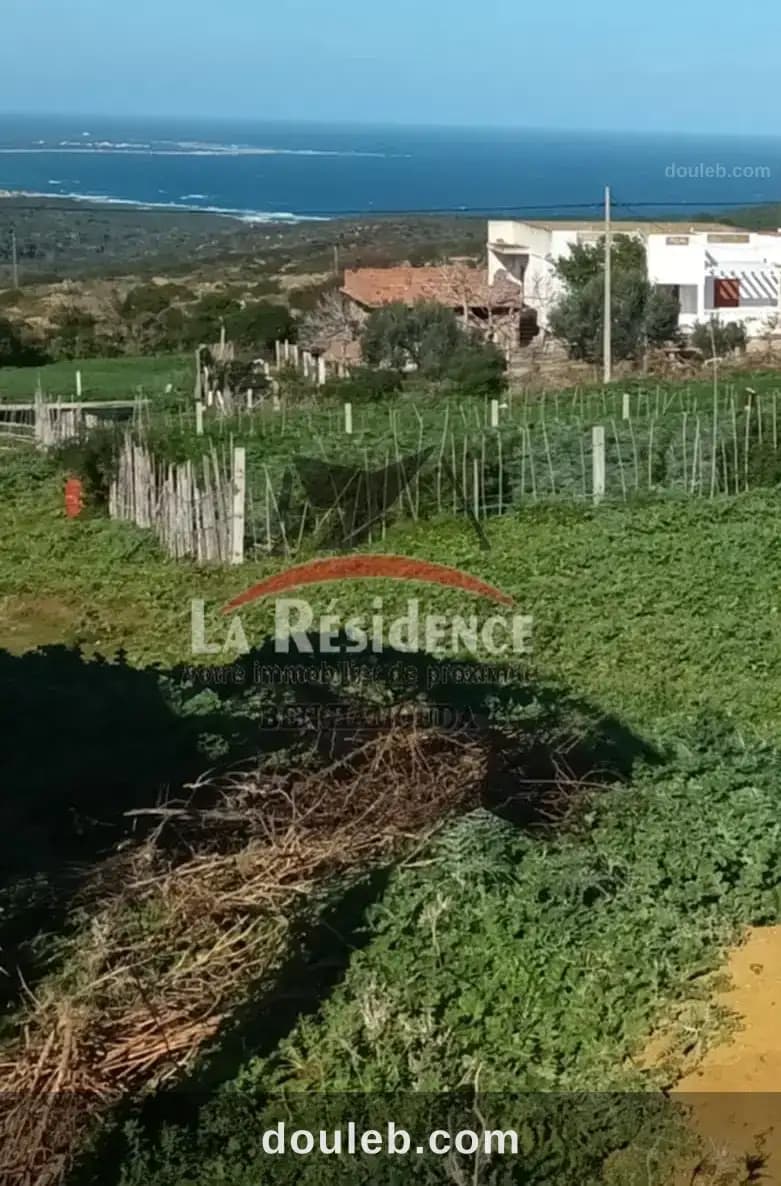 Un terrain vue sur mer situé à nadhour bizerte - Miniature 2