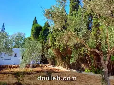 Maison s 2 terrain 310 m 2 route plage à Bizerte