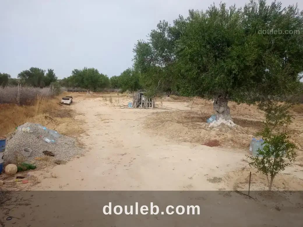 Terrain agricole à Sousse