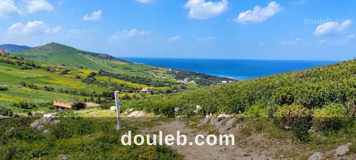 Ain berda bizerte à Bizerte