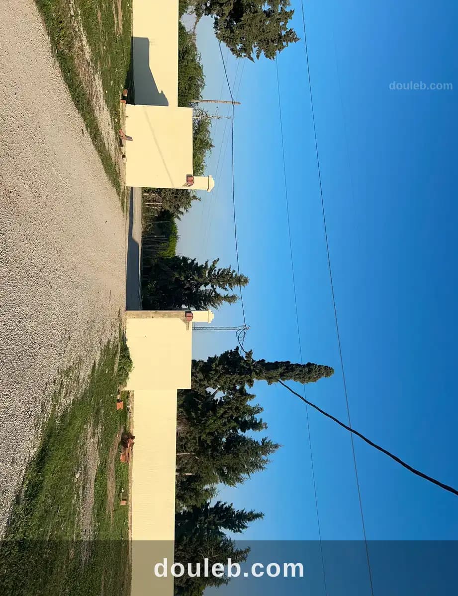 Titre bleu - Miniature 4