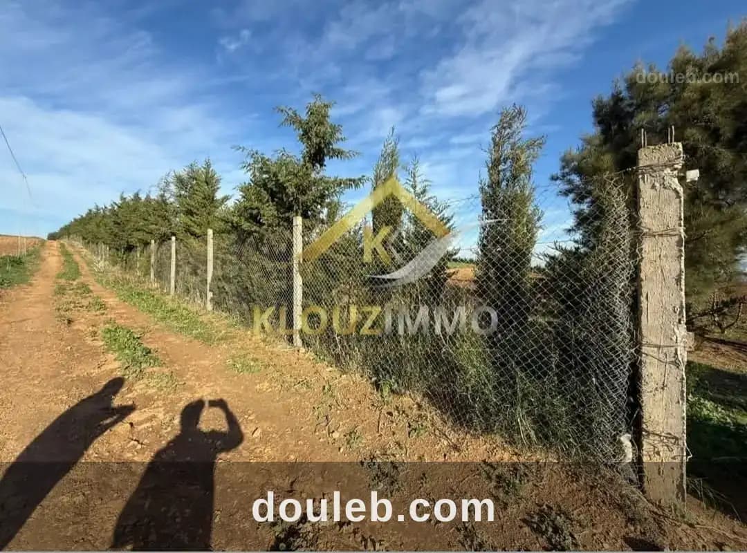 Ferme agricole de 2 hectares à el khatmine bizerte - Miniature 4
