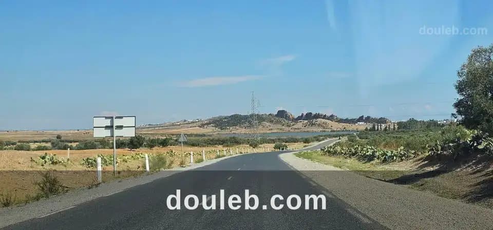 Hectare a sidi jdidi hamammet à Nabeul
