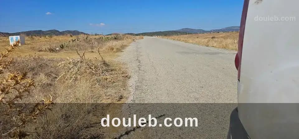 Hectare a sidi jdidi hamammet - Miniature 2