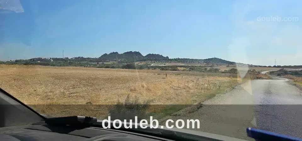 Hectare a sidi jdidi hamammet - Miniature 3