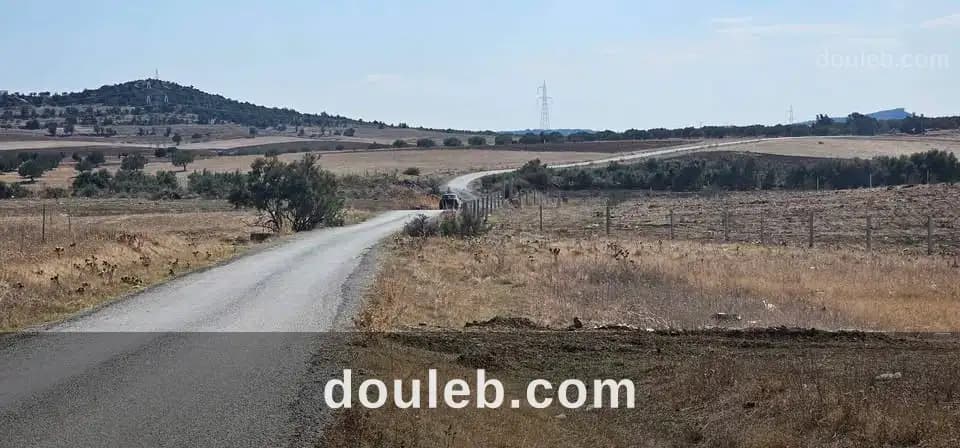 Hectare a sidi jdidi hamammet - Miniature 4