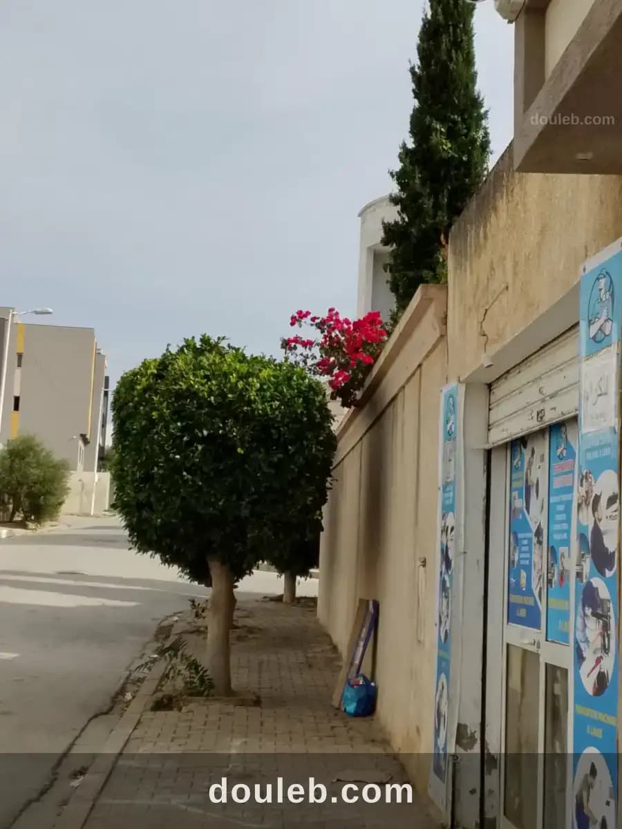 Opportunité - Miniature 2