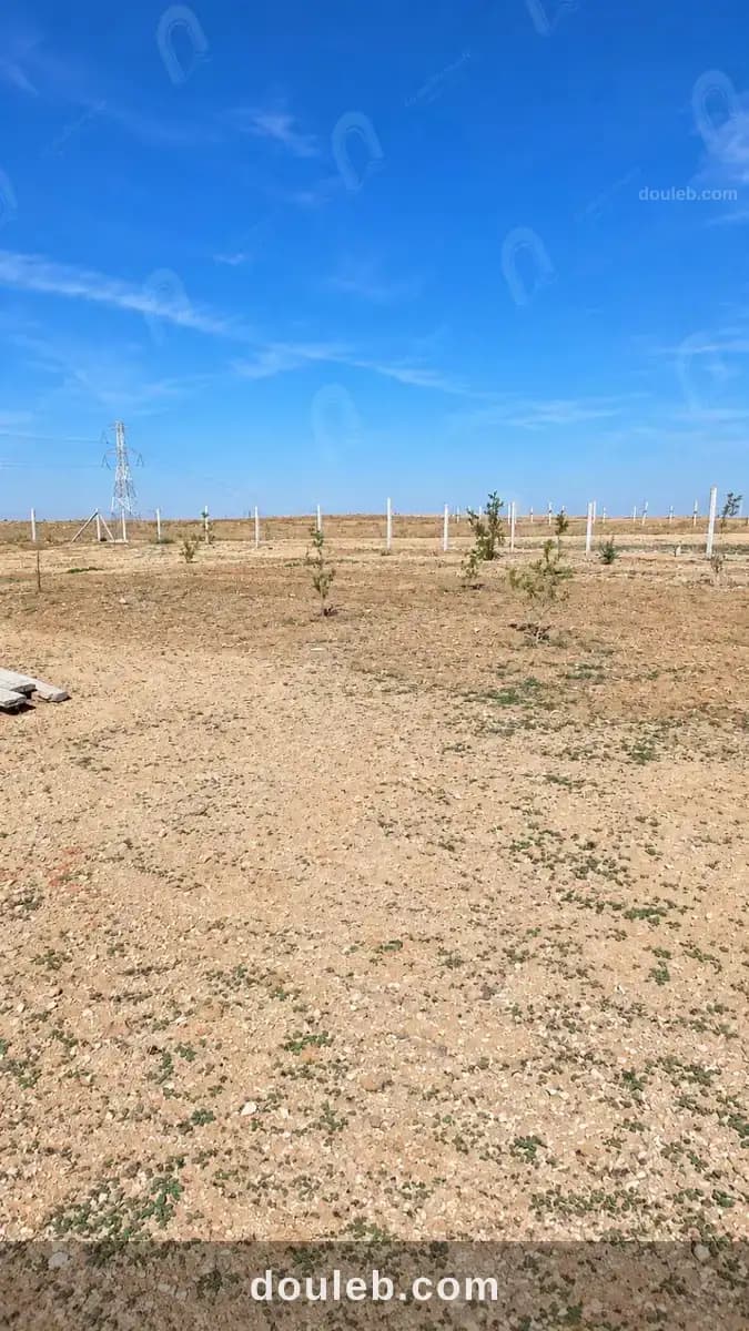 Un terrain de 1440m2 a borj el amri à Manouba