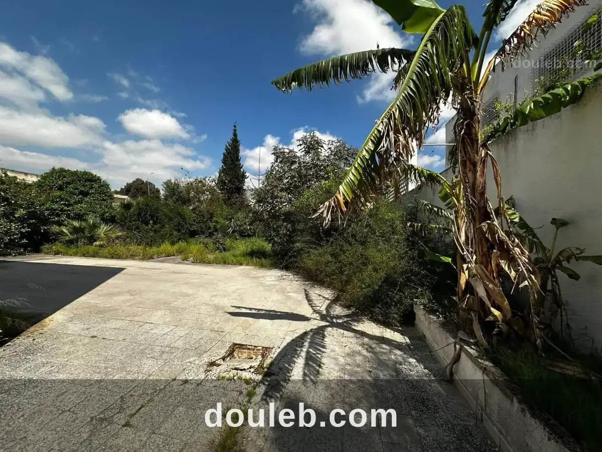 Villa menzah 1 2000 md - Miniature 4