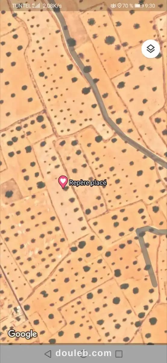 Terrain pour habitation ou agricole à Médenine