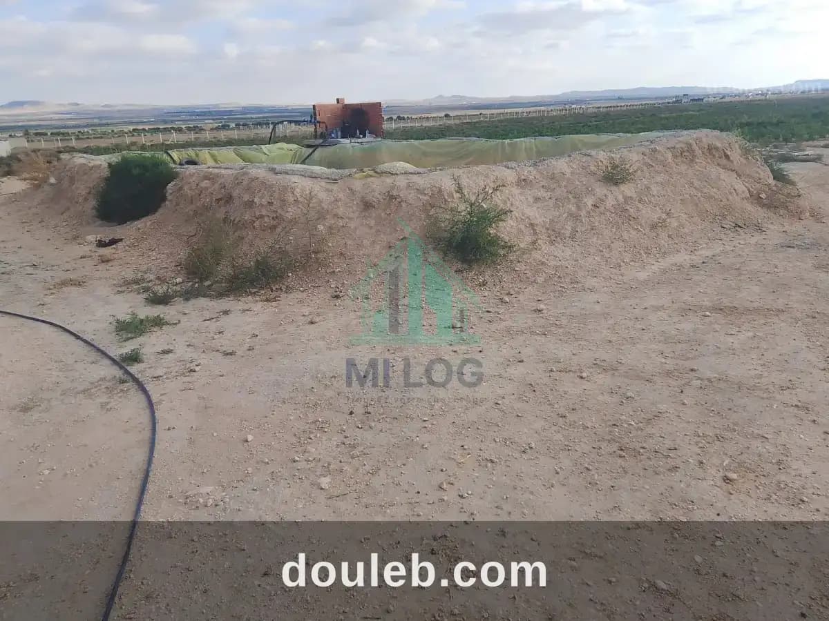 Une ferme de 6h à kasserine nord magdoudech - Miniature 4