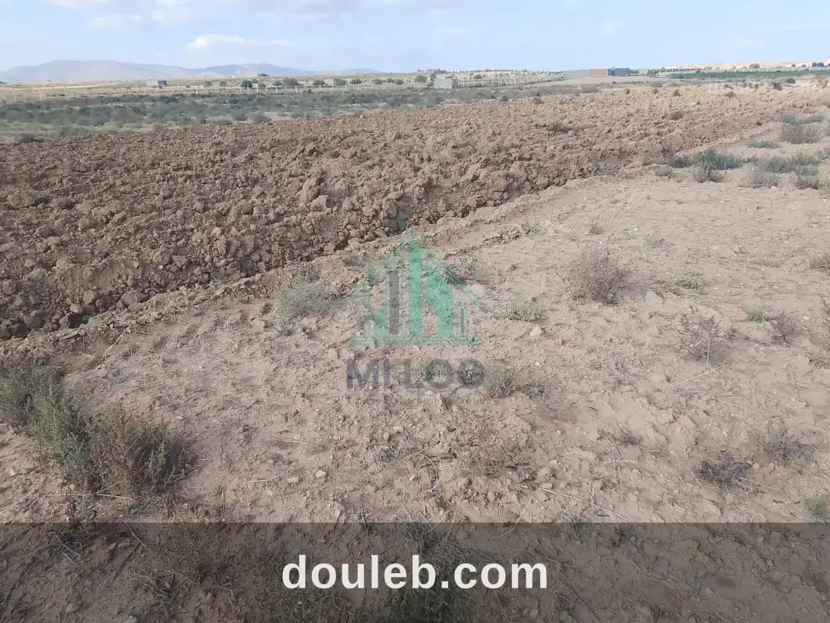Une ferme de 6h à kasserine nord magdoudech - Miniature 5