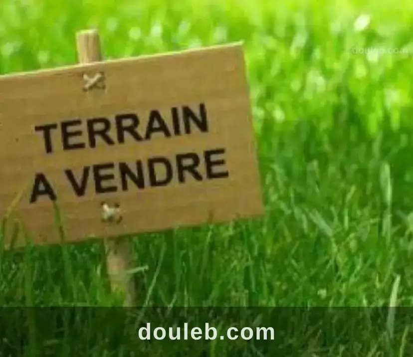 Lots de terrains - Miniature 2