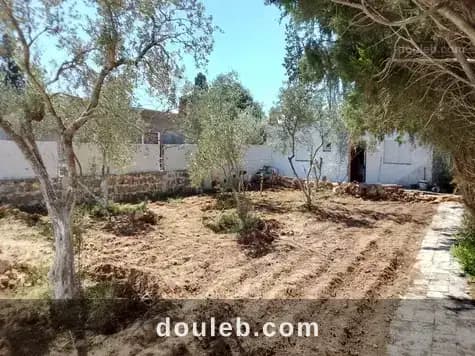 Maison s 2 terrain 310 m 2 route plage mami à Bizerte