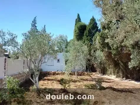 Maison s 2 terrain 310 m 2 route plage mami - Miniature 2