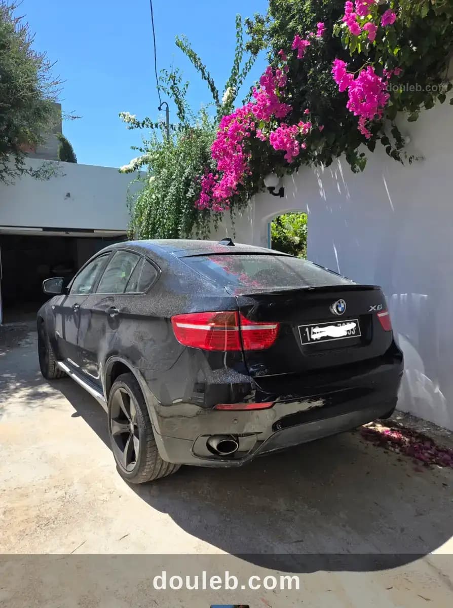 Bmw x6 e71 - Miniature 2