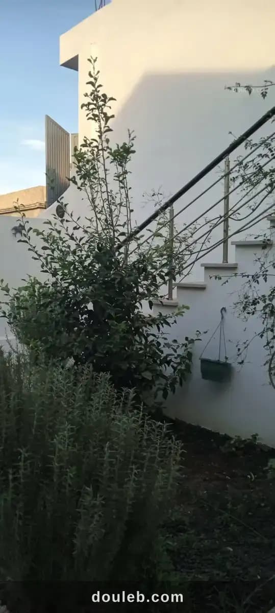 Villa moderne - Miniature 5