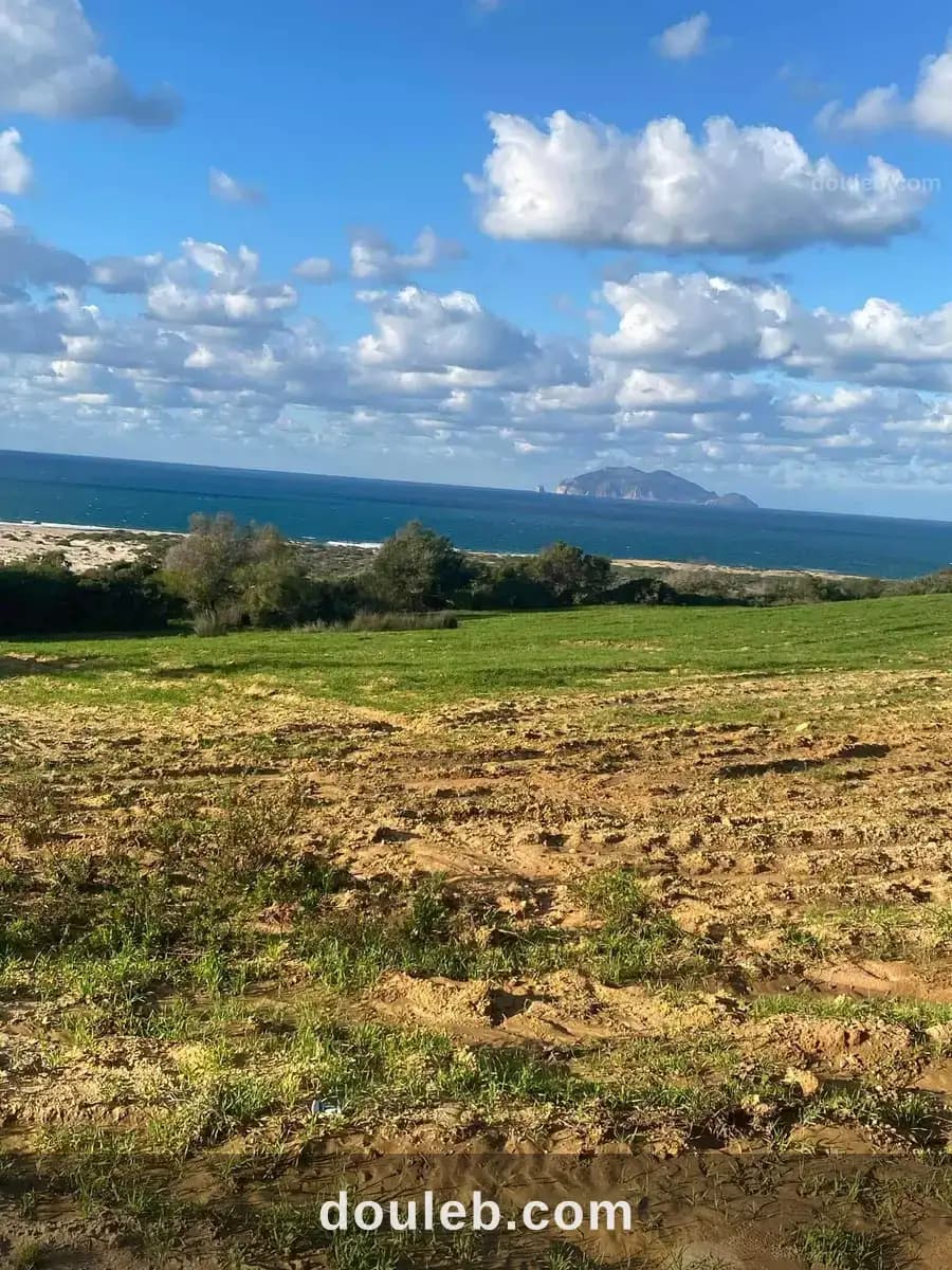 Terrain zaouiet magaies à Nabeul