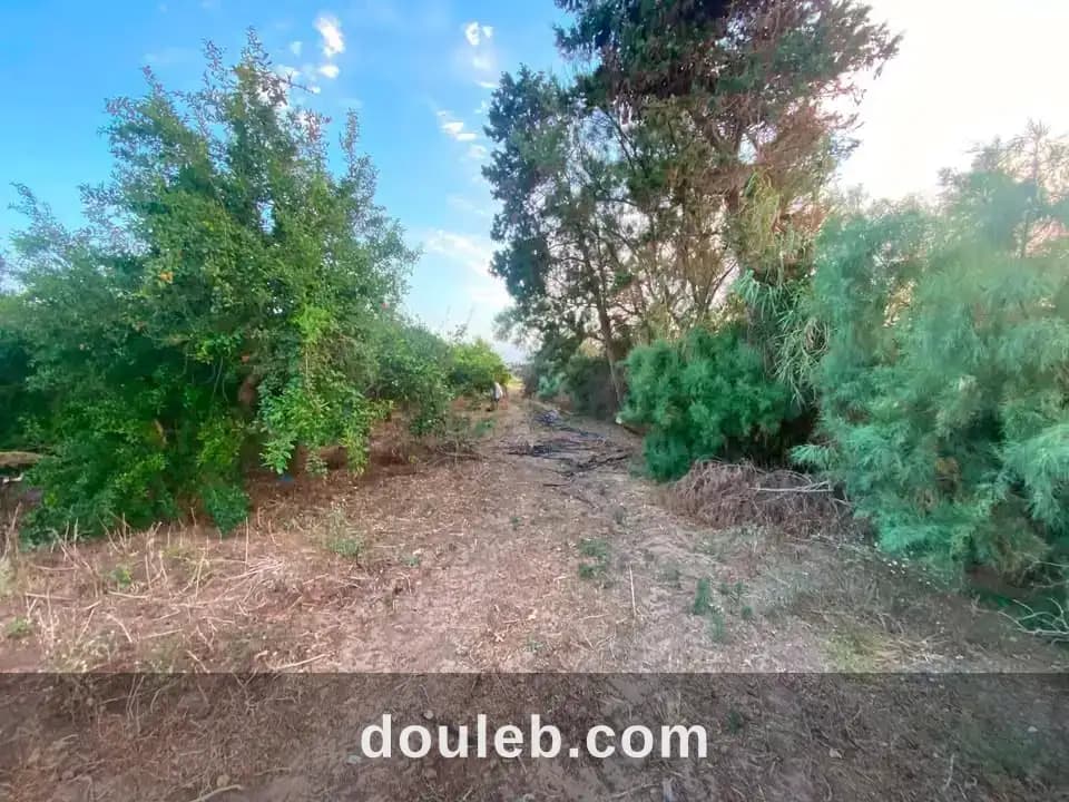 Terrain agricole - Miniature 3