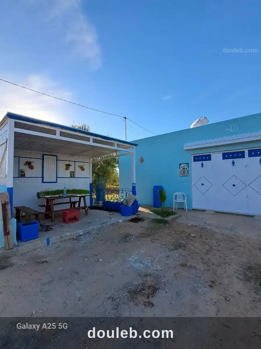 Senia clôturé 2 hectares et 4000m à kalaa kebira à Sousse