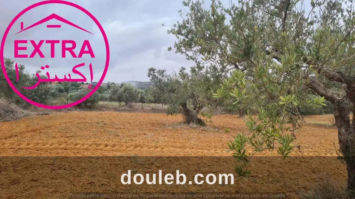 2eme campagne a ghardaia - Miniature 2