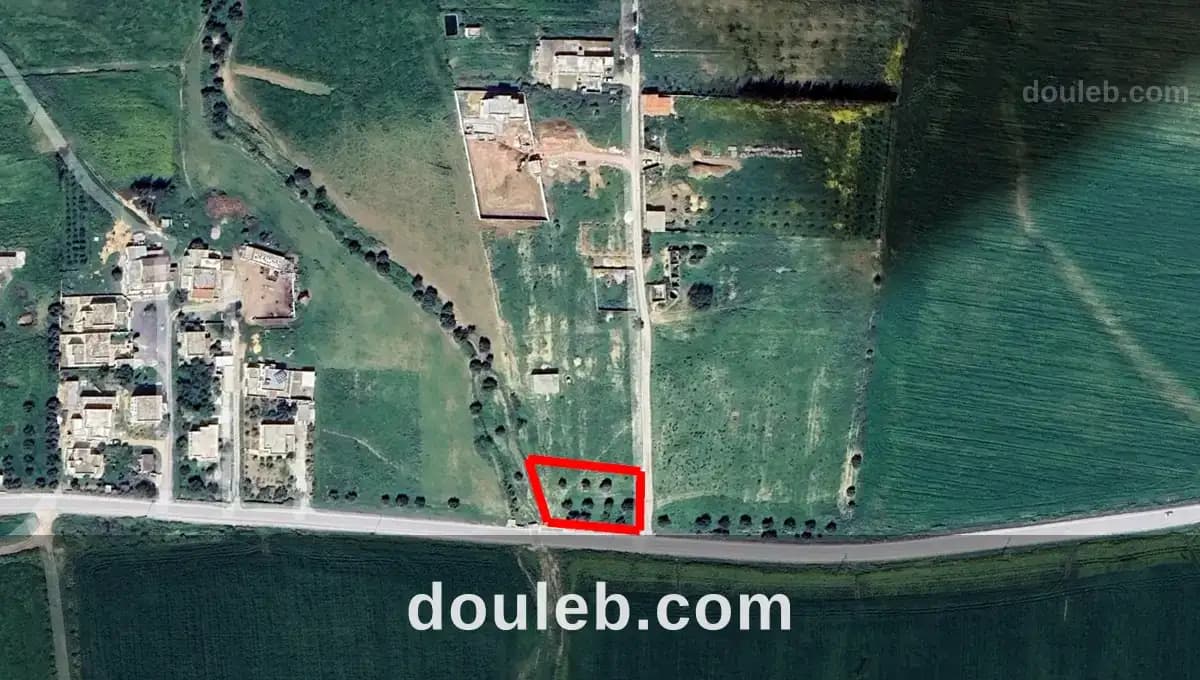 1500m avec oliviers sur la route hmayem négociable à Manouba