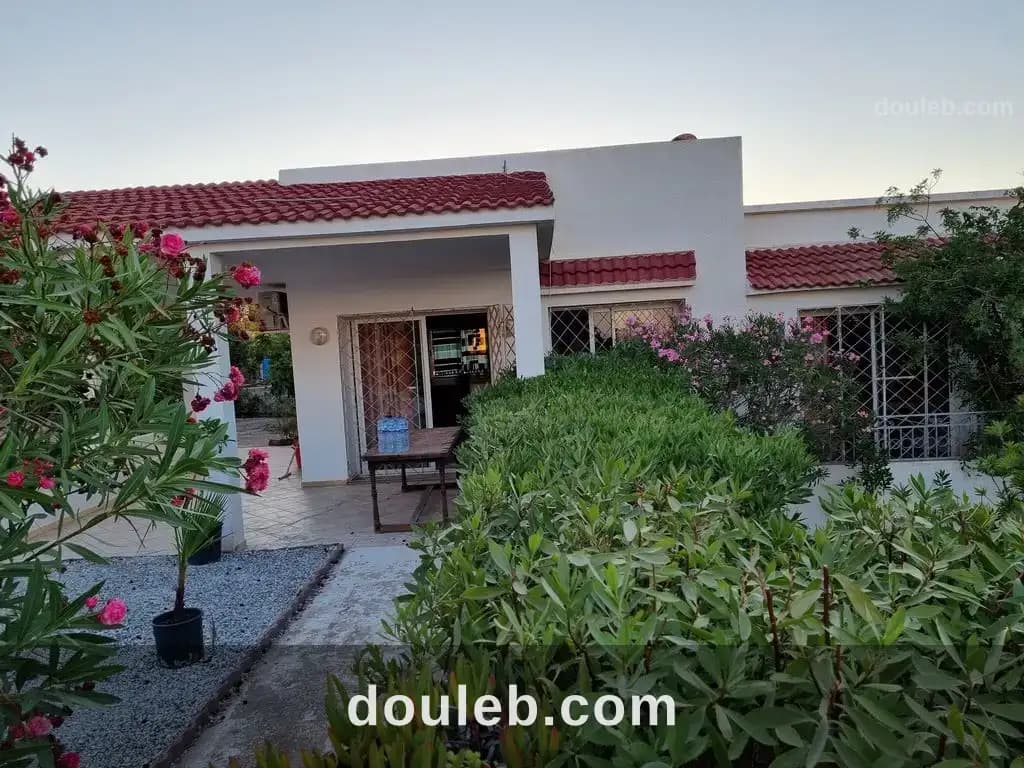 Magnifique villa à el haouaria - Photo 1