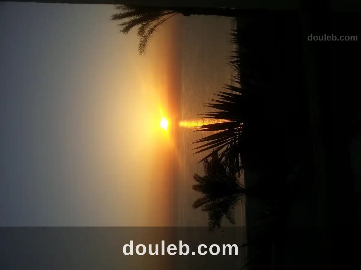 Appartement vue sur mer - Photo 1