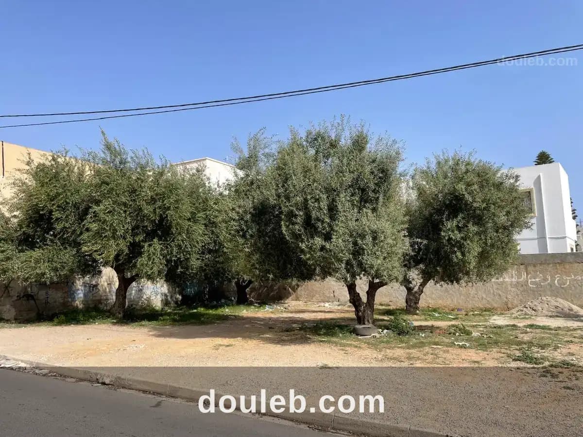Terrain sousse - Photo 1