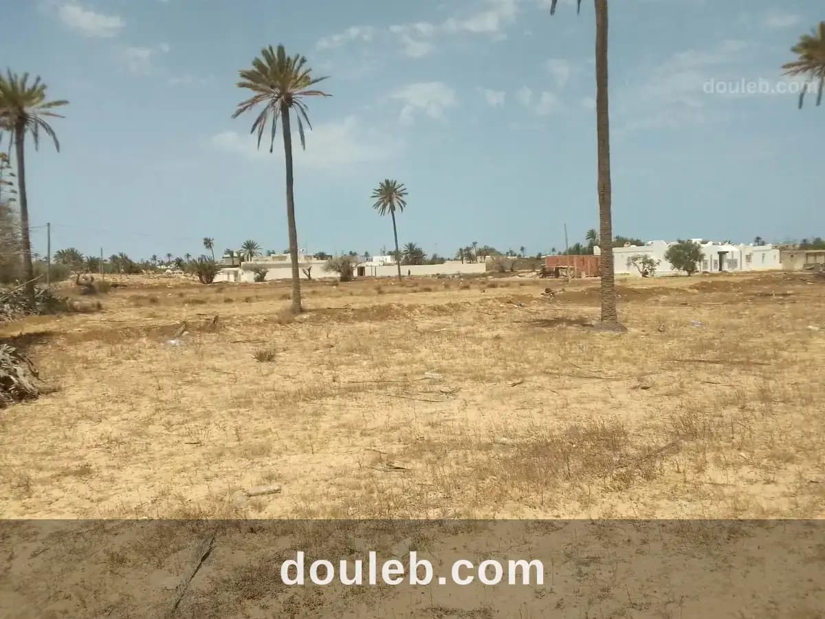 Très jolie lot de terrain nu a jerba midoun - Photo 1