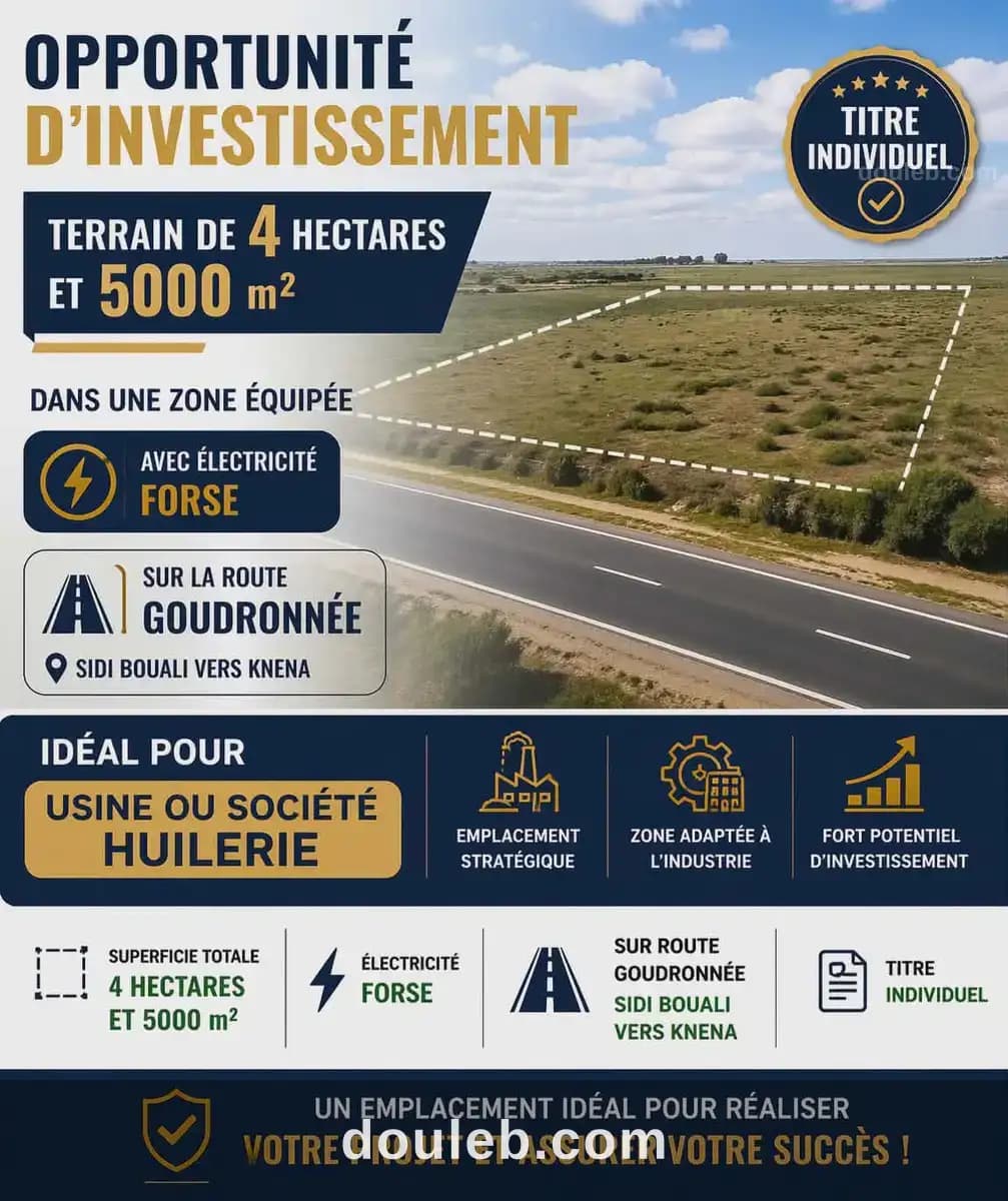 Terrain 4 hectares et 5000m sidi bouali vers knena - Photo 1